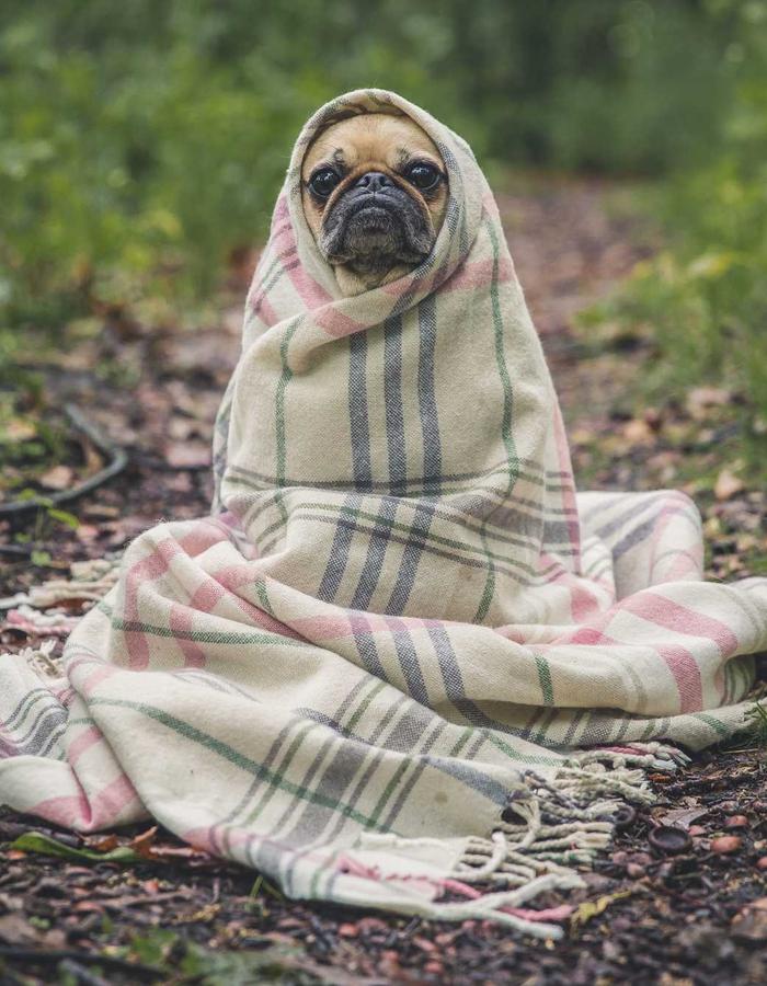 Placeholder featured outfit look 3