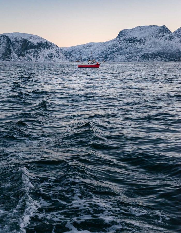 Placeholder featured outfit look 4